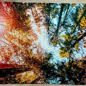 Tree Tapestry